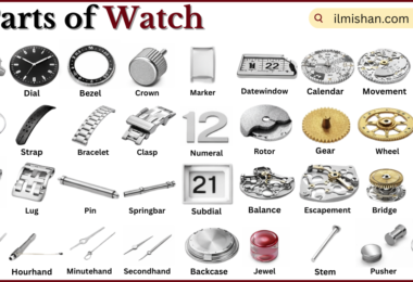 Parts of Watch with Names in English with Pictures