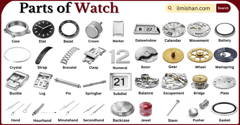 Parts of Watch with Names in English with Pictures