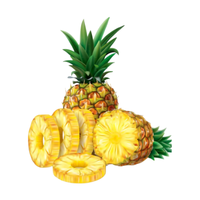 Pineapple