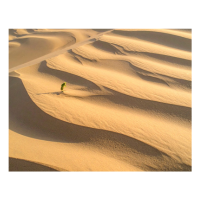 Sandy | Types of Desert with Names