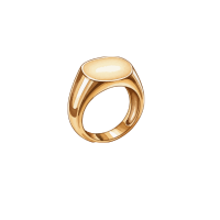 Signet ring | Types of Ring with Names