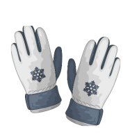 Snow gloves | Types of Gloves with Names