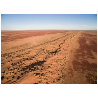 Stony | Types of Desert with Names