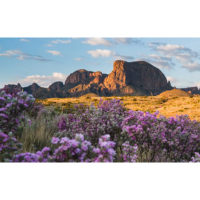 Subtropical | Types of Desert with Names