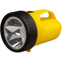 Torch | Types of Lights with Names