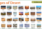 Types of Desert with Names in English with Pictures