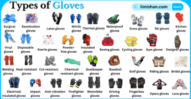 Types of Gloves with Names in English with Pictures