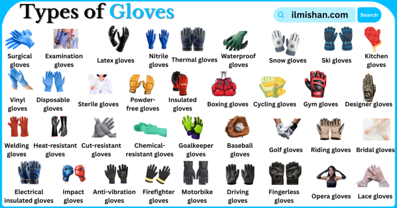 Types of Gloves with Names in English with Pictures