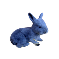 Vienna Blue Rabbit | Types of Rabbit Breeds with Names