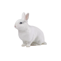 Vienna White Rabbit | Types of Rabbit Breeds with Names