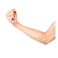 Arm