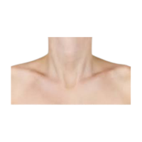 Collarbone