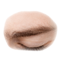 Eyelash | Parts of Body