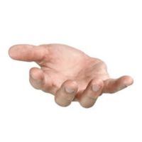 Hand | Parts of Body