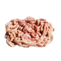 Intestine | Parts of Chicken