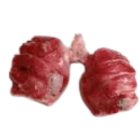 Lung | Parts of Chicken