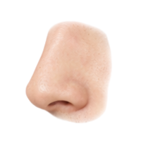 Nose | Parts of Body