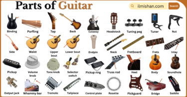 Parts of Guitar with Names in English with Pictures