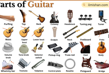 Parts of Guitar with Names in English with Pictures