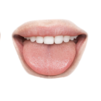 Tongue | Parts of Body