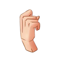 Wrist | Parts of Body